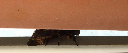 Fotos del otoño, retratado por los lectores de Diariodenavarra.es.