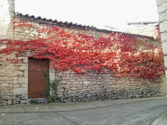 Fotos del otoño, retratado por los lectores de Diariodenavarra.es.