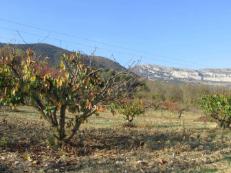 Fotos del otoño, retratado por los lectores de Diariodenavarra.es.