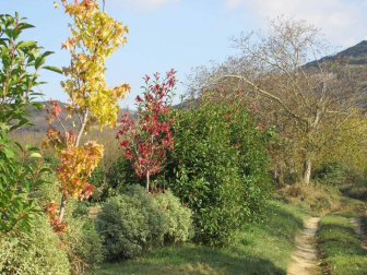 Fotos del otoño, retratado por los lectores de Diariodenavarra.es.