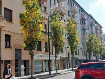 Fotos del otoño, retratado por los lectores de Diariodenavarra.es.