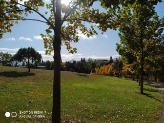 Fotos del otoño, retratado por los lectores de Diariodenavarra.es.