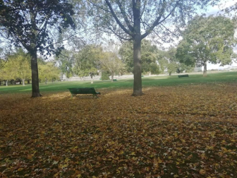 Fotos del otoño, retratado por los lectores de Diariodenavarra.es.