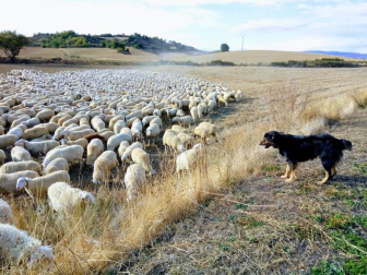 Fotos del otoño, retratado por los lectores de Diariodenavarra.es.