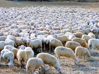 Fotos del otoño, retratado por los lectores de Diariodenavarra.es.