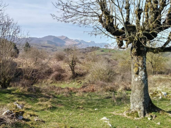Fotos del otoño, retratado por los lectores de Diariodenavarra.es.