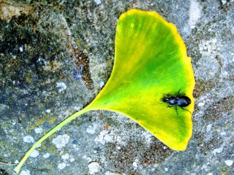 Fotos del otoño, retratado por los lectores de Diariodenavarra.es.
