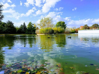 Fotos del otoño, retratado por los lectores de Diariodenavarra.es.