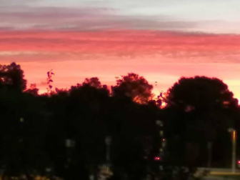 Fotos del otoño, retratado por los lectores de Diariodenavarra.es.