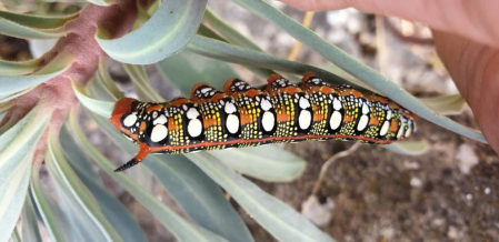 Fotos del otoño, retratado por los lectores de Diariodenavarra.es.