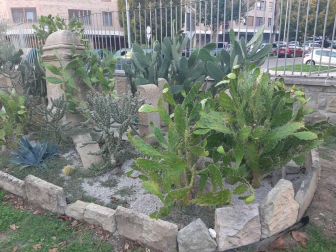 Fotos del otoño, retratado por los lectores de Diariodenavarra.es.