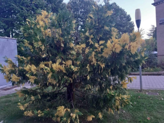 Fotos del otoño, retratado por los lectores de Diariodenavarra.es.