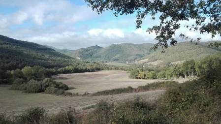Fotos del otoño, retratado por los lectores de Diariodenavarra.es.