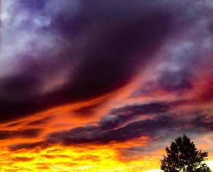 Fotos del otoño, retratado por los lectores de Diariodenavarra.es.