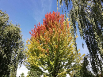 Fotos del otoño, retratado por los lectores de Diariodenavarra.es.