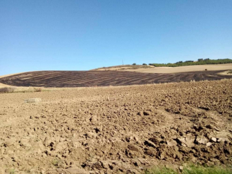 Fotos del otoño, retratado por los lectores de Diariodenavarra.es.