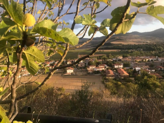 Fotos del otoño, retratado por los lectores de Diariodenavarra.es.