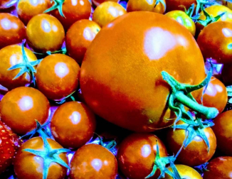 Fotos del otoño, retratado por los lectores de Diariodenavarra.es.