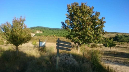 Fotos del otoño, retratado por los lectores de Diariodenavarra.es.