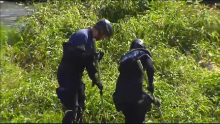 Hallado el cuerpo del bebé en un cañaveral del río Besós