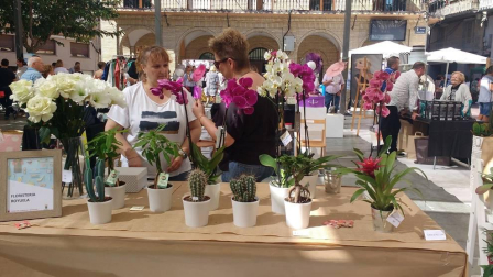 Fotos de la celebración de la I Feria de Comercio y Servicios de Peralta, organizada por la comisión municipal de comercio en colaboración con entidades y empresas de la localidad.