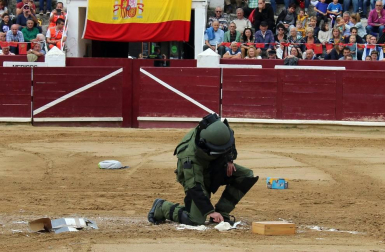Todas las secciones en activo de la Guardia Civil en Navarra participaron este domingo en una exhibición en la plaza de toros de Estella, para conmemorar el 175 aniversario de su fundación.