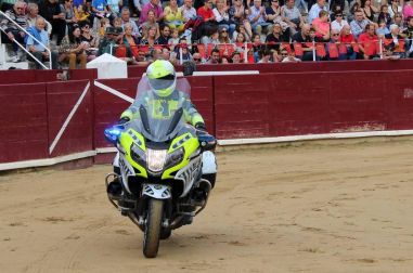 Todas las secciones en activo de la Guardia Civil en Navarra participaron este domingo en una exhibición en la plaza de toros de Estella, para conmemorar el 175 aniversario de su fundación.