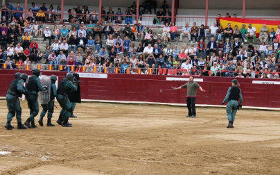Todas las secciones en activo de la Guardia Civil en Navarra participaron este domingo en una exhibición en la plaza de toros de Estella, para conmemorar el 175 aniversario de su fundación.