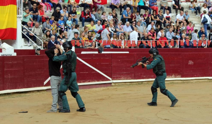 Todas las secciones en activo de la Guardia Civil en Navarra participaron este domingo en una exhibición en la plaza de toros de Estella, para conmemorar el 175 aniversario de su fundación.