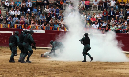 Todas las secciones en activo de la Guardia Civil en Navarra participaron este domingo en una exhibición en la plaza de toros de Estella, para conmemorar el 175 aniversario de su fundación.