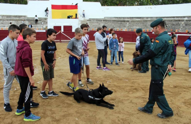 Todas las secciones en activo de la Guardia Civil en Navarra participaron este domingo en una exhibición en la plaza de toros de Estella, para conmemorar el 175 aniversario de su fundación.