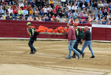 Todas las secciones en activo de la Guardia Civil en Navarra participaron este domingo en una exhibición en la plaza de toros de Estella, para conmemorar el 175 aniversario de su fundación.
