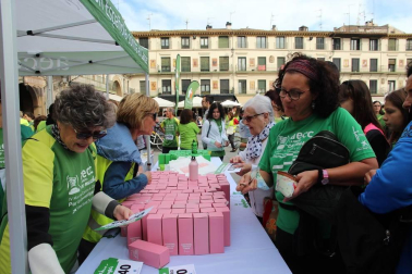 Todas las fotos de la IV Marcha contra el Cáncer de la Ribera celebrada este domingo en la capital ribera