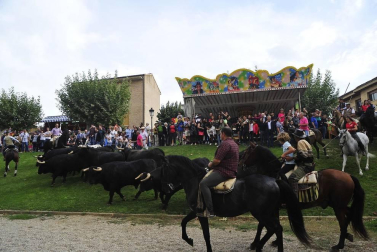 La localidad navarra acogió la feria del caballo este sábado 12 de octubre.