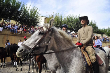 La localidad navarra acogió la feria del caballo este sábado 12 de octubre.
