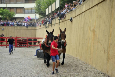 La localidad navarra acogió la feria del caballo este sábado 12 de octubre.