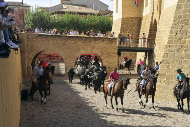 La localidad navarra acogió la feria del caballo este sábado 12 de octubre.