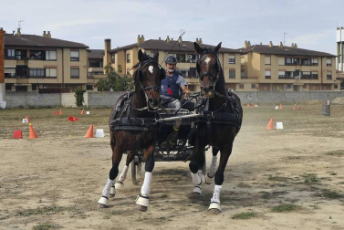 La localidad navarra acogió la feria del caballo este sábado 12 de octubre.