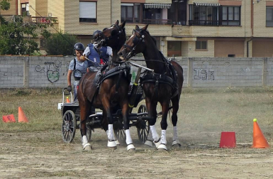La localidad navarra acogió la feria del caballo este sábado 12 de octubre.