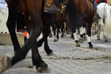 La localidad navarra acogió la feria del caballo este sábado 12 de octubre.