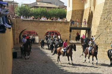 La localidad navarra acogió la feria del caballo este sábado 12 de octubre.