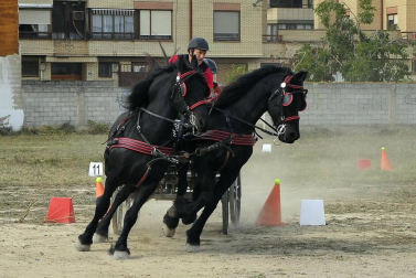 La localidad navarra acogió la feria del caballo este sábado 12 de octubre.