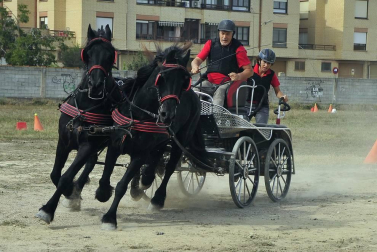 La localidad navarra acogió la feria del caballo este sábado 12 de octubre.