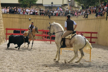 La localidad navarra acogió la feria del caballo este sábado 12 de octubre.