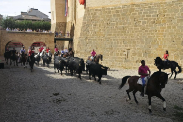 La localidad navarra acogió la feria del caballo este sábado 12 de octubre.