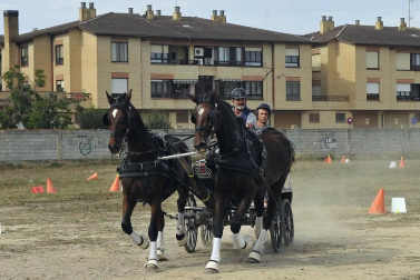 La localidad navarra acogió la feria del caballo este sábado 12 de octubre.