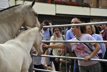 La localidad navarra acogió la feria del caballo este sábado 12 de octubre.