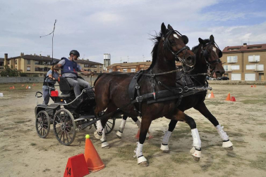 La localidad navarra acogió la feria del caballo este sábado 12 de octubre.