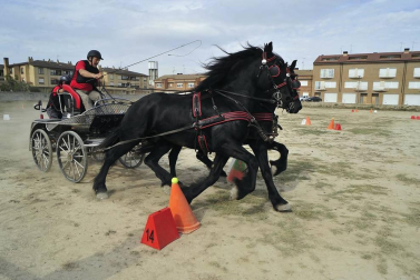 La localidad navarra acogió la feria del caballo este sábado 12 de octubre.