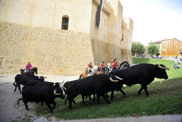 La localidad navarra acogió la feria del caballo este sábado 12 de octubre.